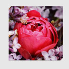 Цветущая роза