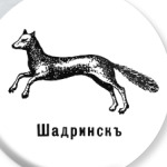 Я люблю Шадринск!