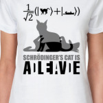 Котэ Шрёдингера