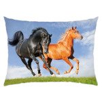 Двойка лошадей