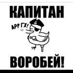  'Капитан воробей!'
