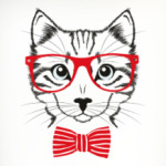 С котом в очках