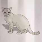 гладкошерстная кошка