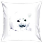 Малыш тюлень