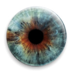 eye