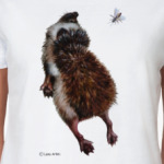 Ежики тоже хотят летать