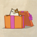 Новокот — Пятничный Котик №36