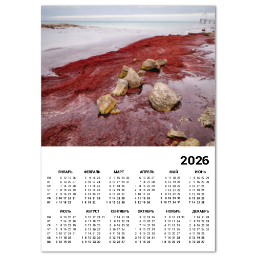 Календарь с принтом Берег Каспийского моря