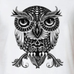 Совы. Совушки. Owl. Owls.