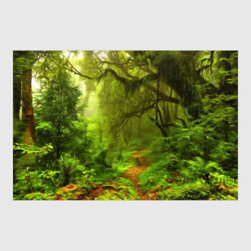 Постер с принтом Лес