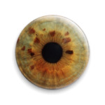eye