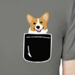 Doge