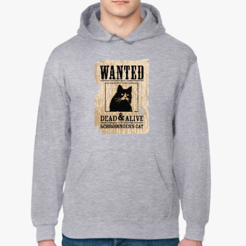 Толстовка худи с принтом Розыск - кот Шредингера