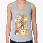 Смешные коты (funny cats)