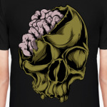 Череп с мозгами