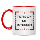 Person of Interest