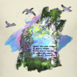 Птицы. Небо. Полет. Свобода. Простор. Березы.