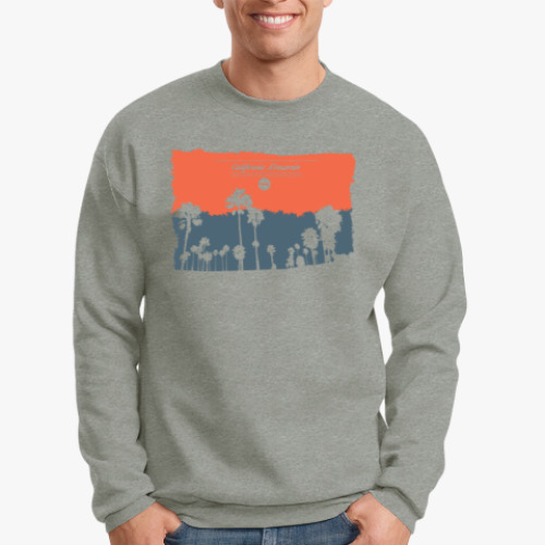 Свитшот Город в Калифрнии (USA)