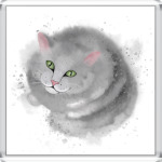 Серый кот, кошка