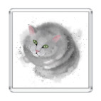 Серый кот, кошка