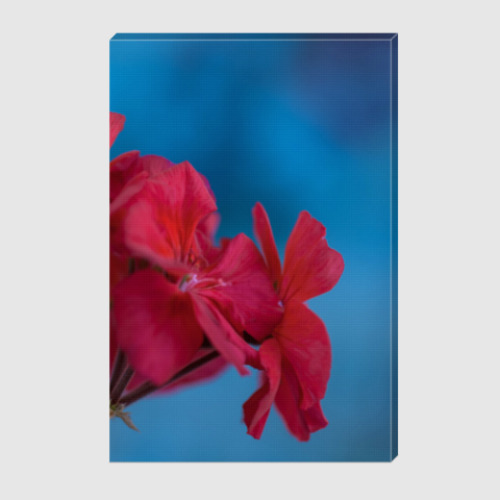 Холст с принтом  Герань