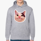 Polite Cat meme / Вежливый кот