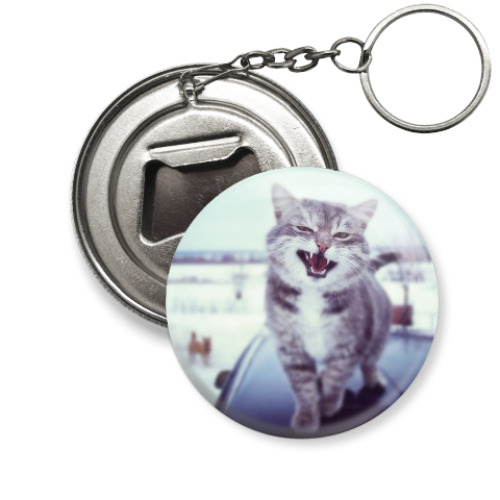 Брелок-открывашка с принтом Смазливый кот.