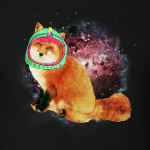 CosmoFox