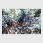 Ледяные узоры