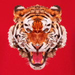 Тигр