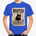 Розыск - кот Шредингера