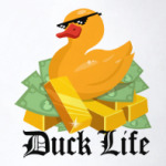 Duck Life
