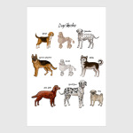 Собаки - лучшие друзья!