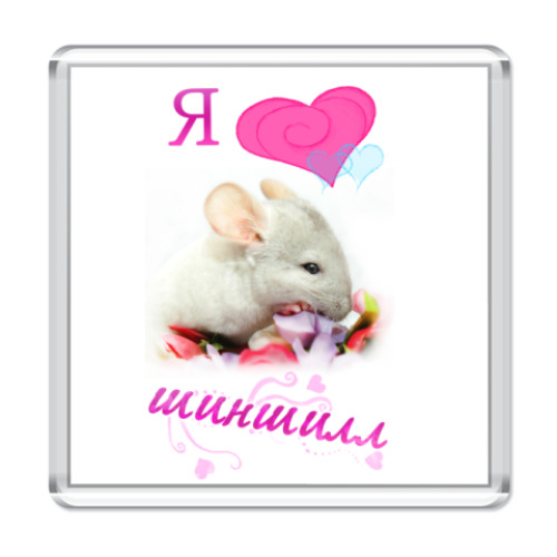 Магнит Шиншилла