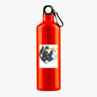 Металлическая бутылка 700 мл UV-DTF