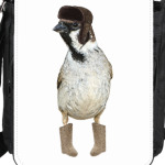 Русский воробей