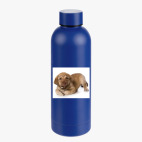 Термобутылка