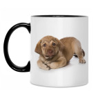 Кружка двухцветная