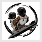 Постер 50 х 50 см Птицы воробьи-истребители