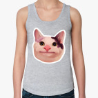 Polite Cat meme / Вежливый кот