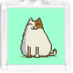 Пятничный Котик №15