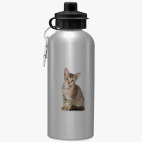 Спортивная бутылка