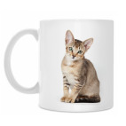 Кружка 330 мл