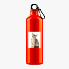 Металлическая бутылка 700 мл UV-DTF