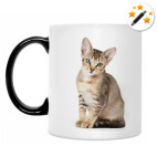 Кружка-хамелеон