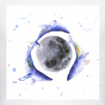 Лунные киты