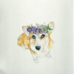 Весенняя Луша