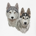 Хаски. Собаки.