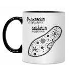 Paramecium&Euglena