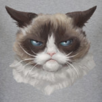 Grumpy Cat / Сердитый Кот